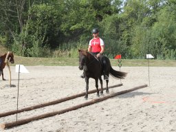 IMG_1304_web